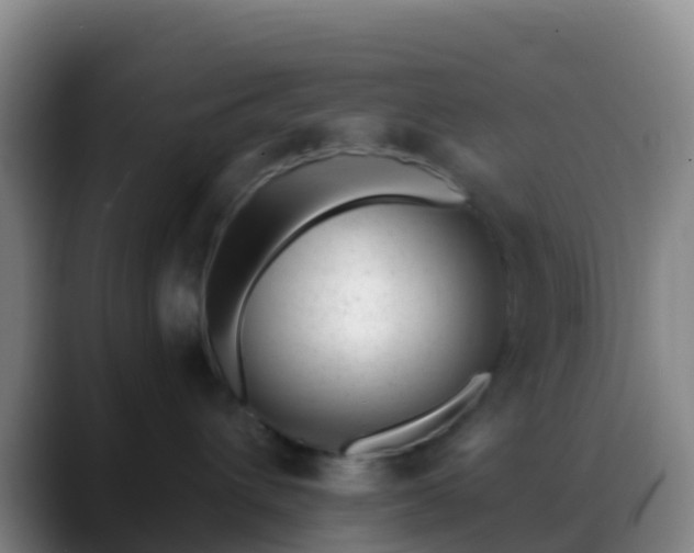 X0000088900432200706151851