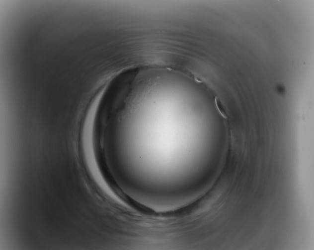 X0000088900434200706151851