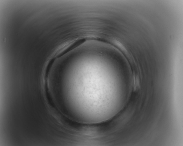 X0000088900435200706151851