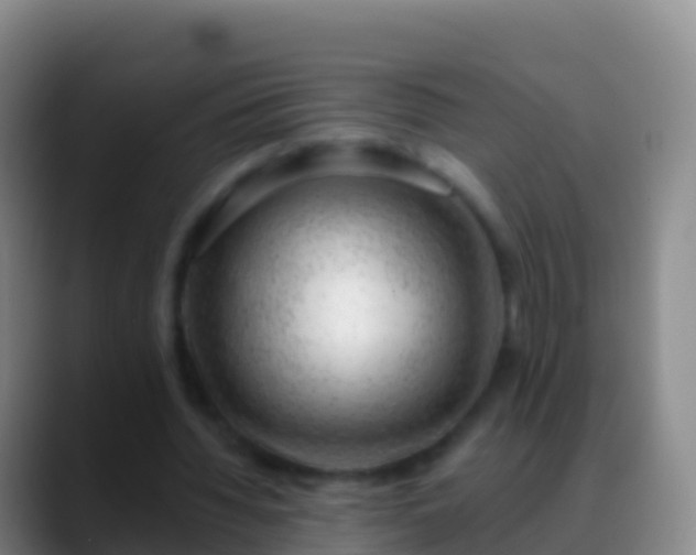X0000088900436200706151851