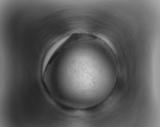 X0000088900437200706151851