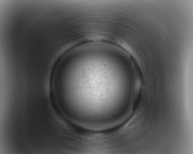 X0000088900438200706151851