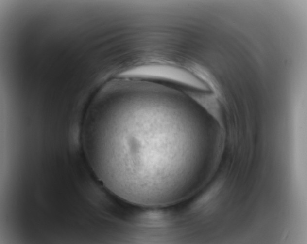 X0000088900441200706151851