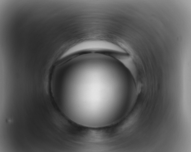 X0000088900442200706151851