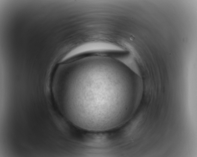 X0000088900443200706151851