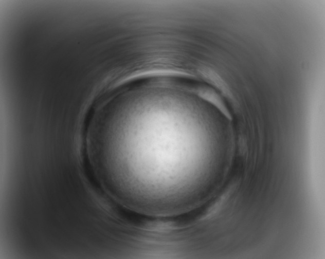 X0000088900444200706151851