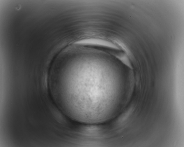 X0000088900445200706151851