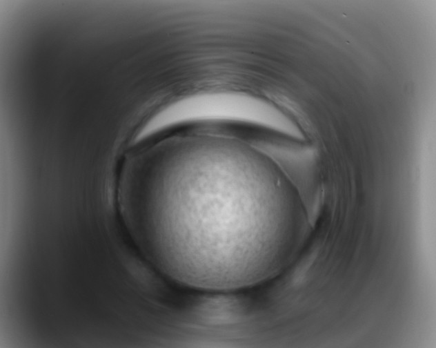 X0000088900446200706151851