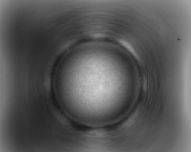 X0000088900447200706151851