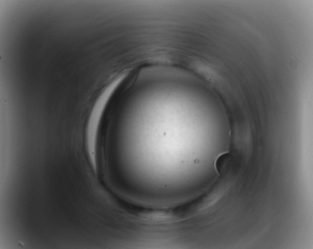 X0000088900449200706151851