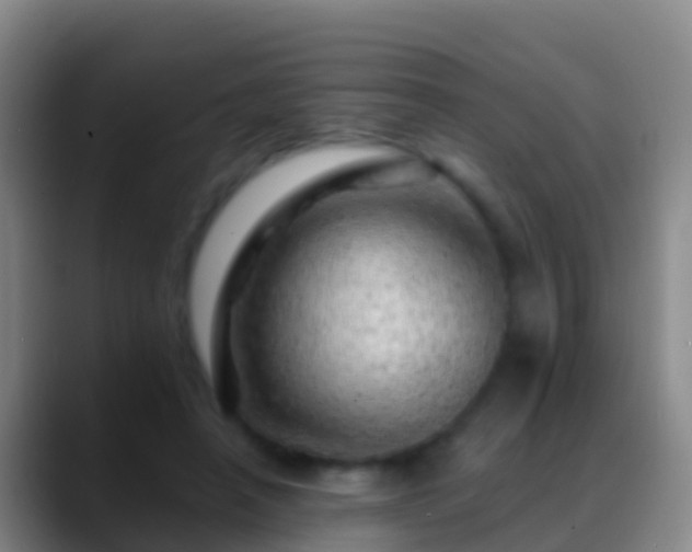 X0000088900450200706151851
