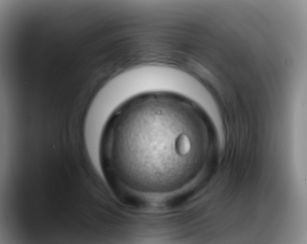 X0000088900452200706151851