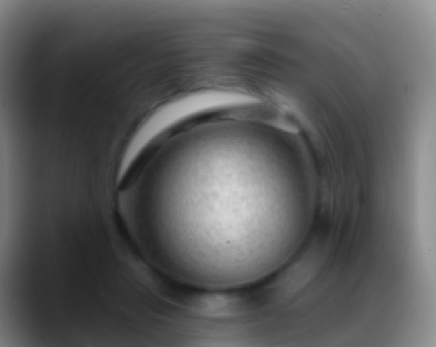 X0000088900453200706151851