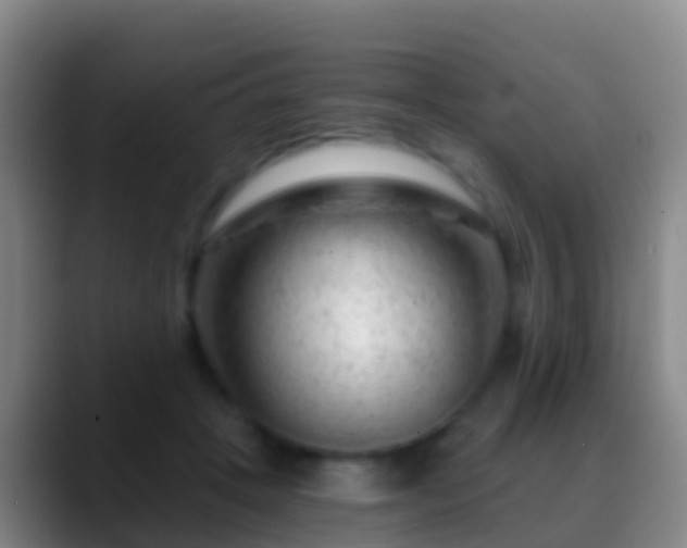 X0000088900457200706151851