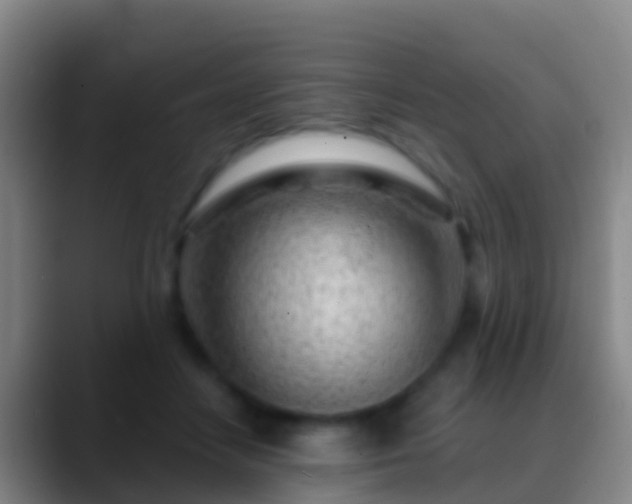 X0000088900458200706151851