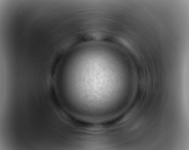 X0000088900459200706151851