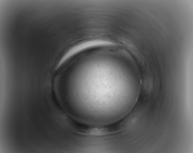 X0000088900461200706151851