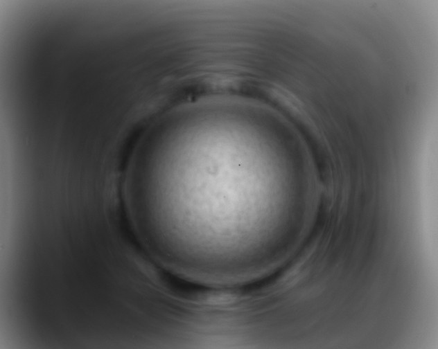 X0000088900462200706151851