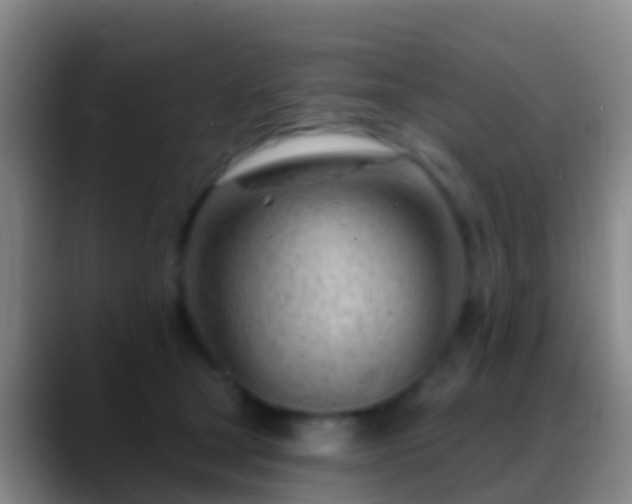 X0000088900465200706151851