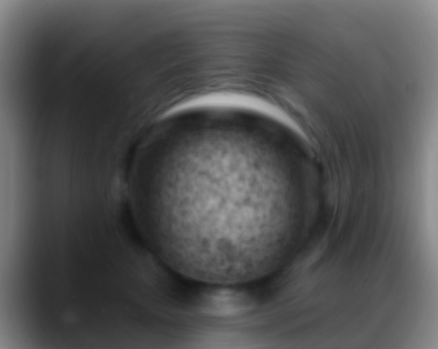 X0000088900467200706151851