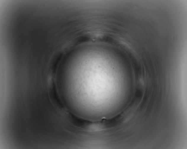 X0000088900468200706151851