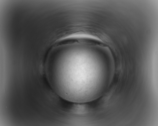 X0000088900469200706151851