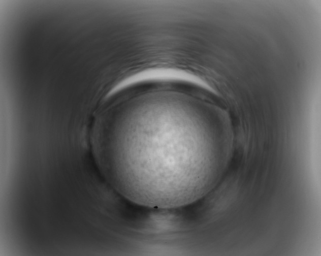 X0000088900470200706151851