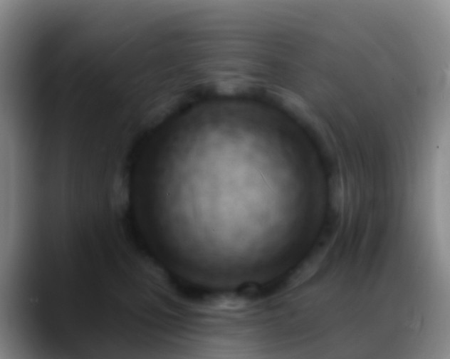 X0000088900471200706151851