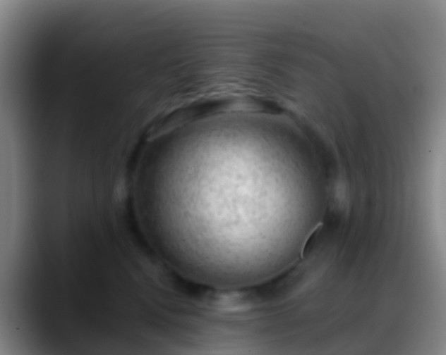 X0000088900472200706151851