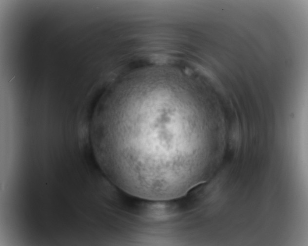 X0000088900473200706151851