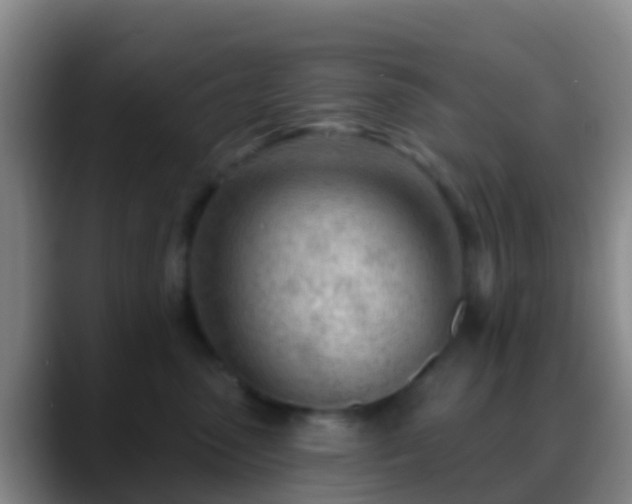 X0000088900475200706151851