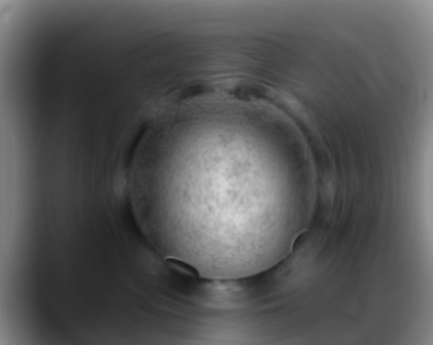 X0000088900477200706151851