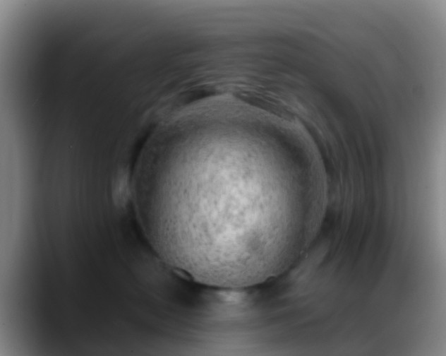 X0000088900478200706151851
