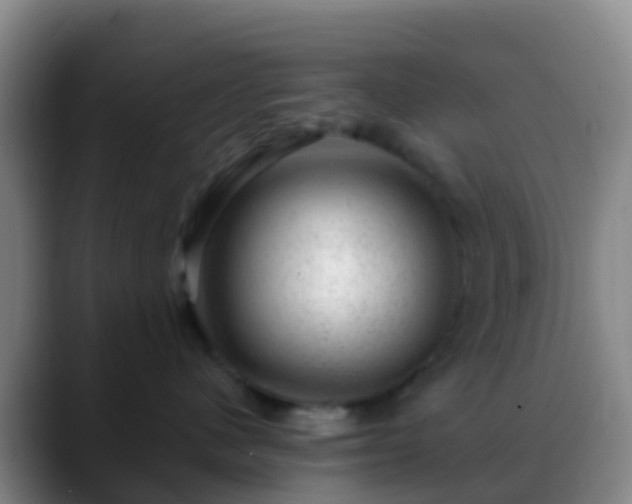 X0000088900480200706151851