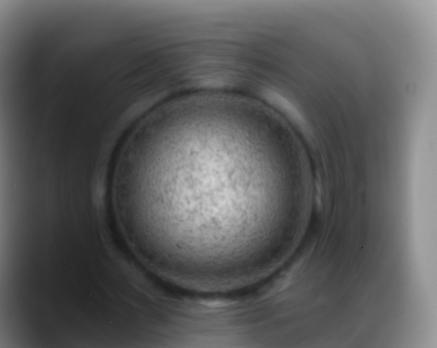 X0000088900483200706151851