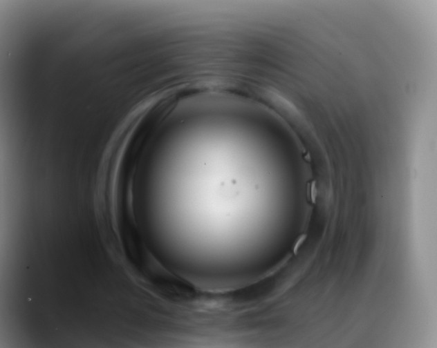 X0000088900484200706151851