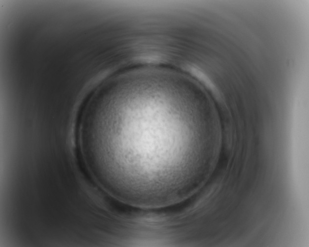 X0000088900486200706151851