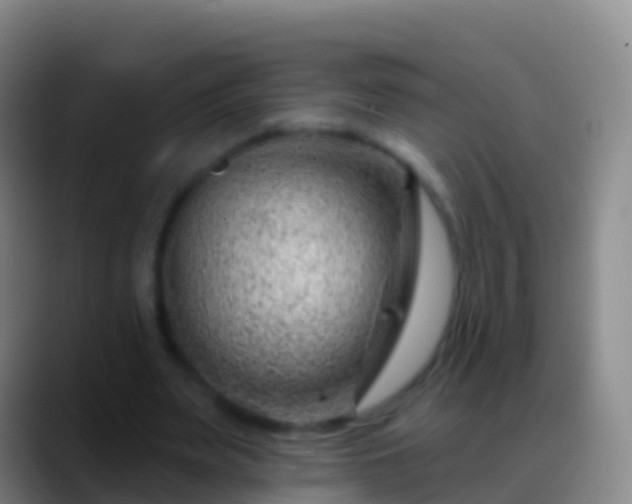 X0000088900487200706151850