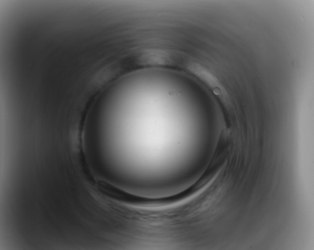 X0000088900489200706151850