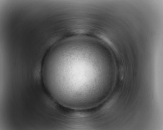 X0000088900490200706151850