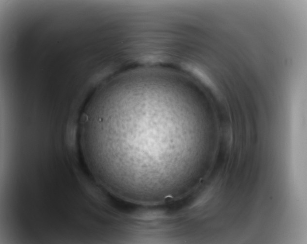 X0000088900491200706151850
