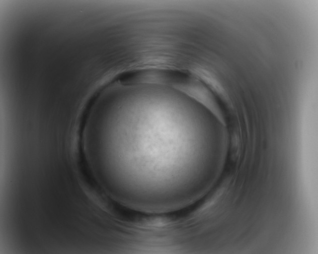 X0000088900492200706151850