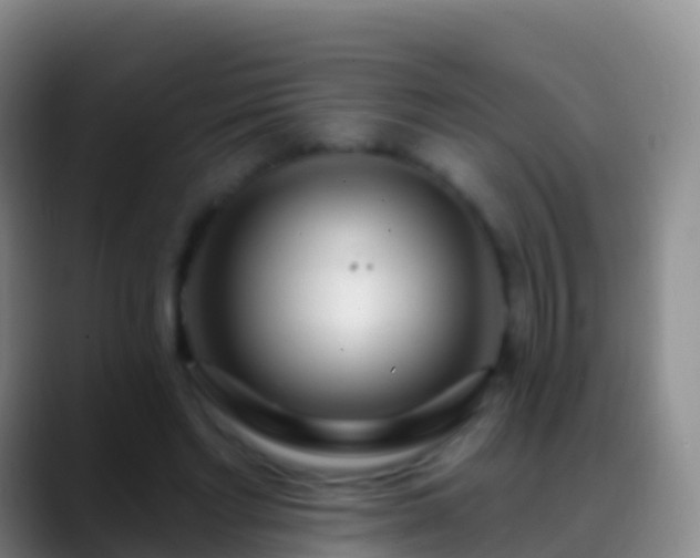 X0000088900493200706151850