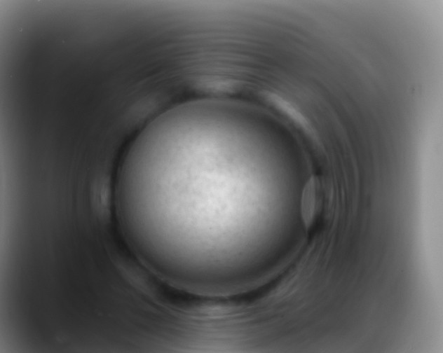 X0000088900494200706151850