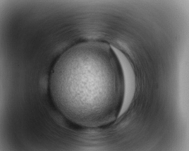 X0000088900495200706151850
