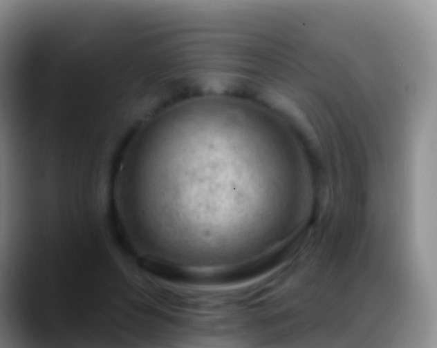 X0000088900496200706151850