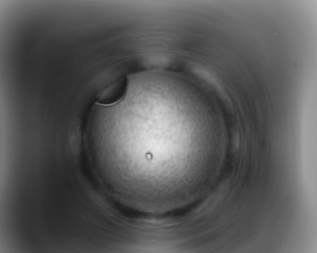 X0000088900498200706151850