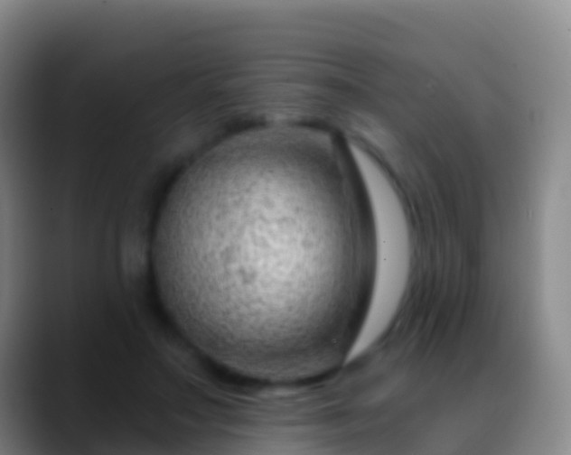 X0000088900499200706151850