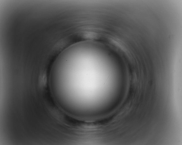 X0000088900502200706151850