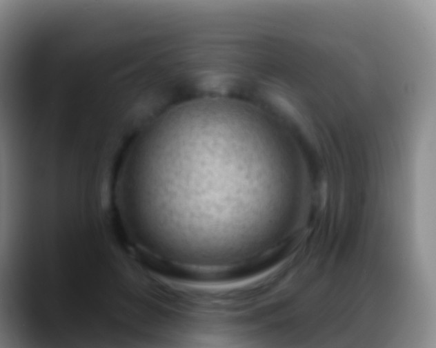 X0000088900504200706151850